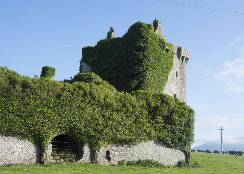 Crossmolina Castle, Crossmolina, Ireland, Ireland